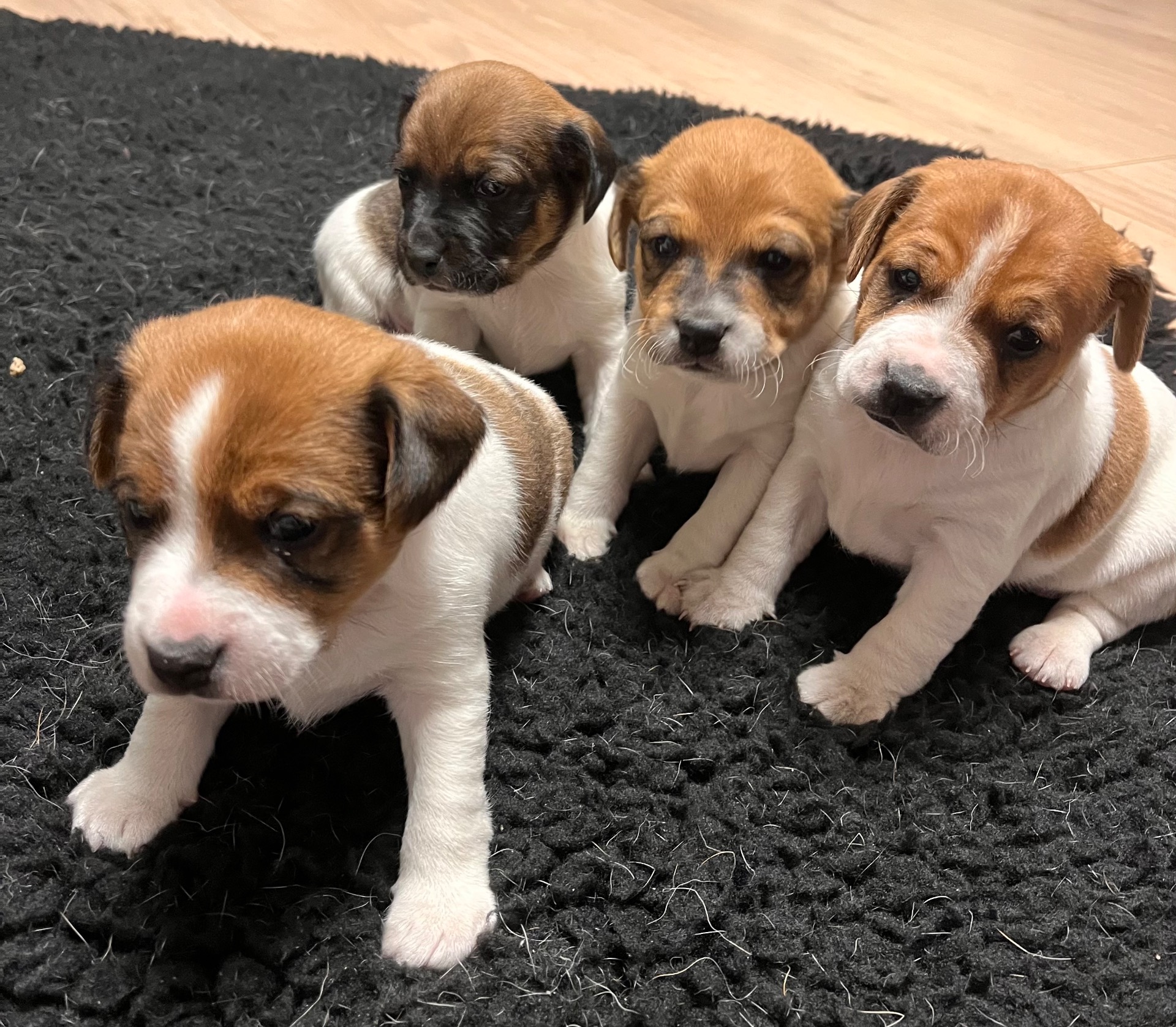 3,5 viikkoa❤️💙💙💙